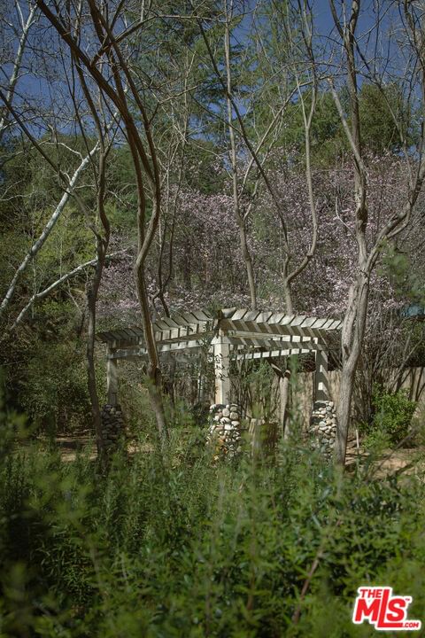 Oakwood photo 29