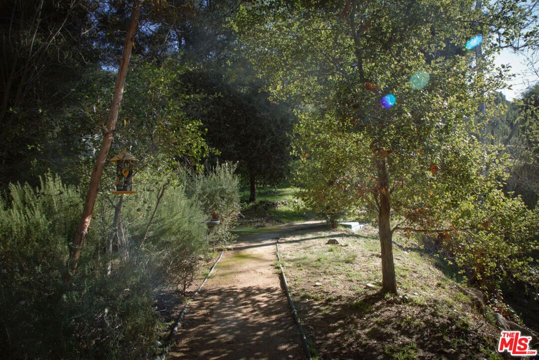 Oakwood photo 30
