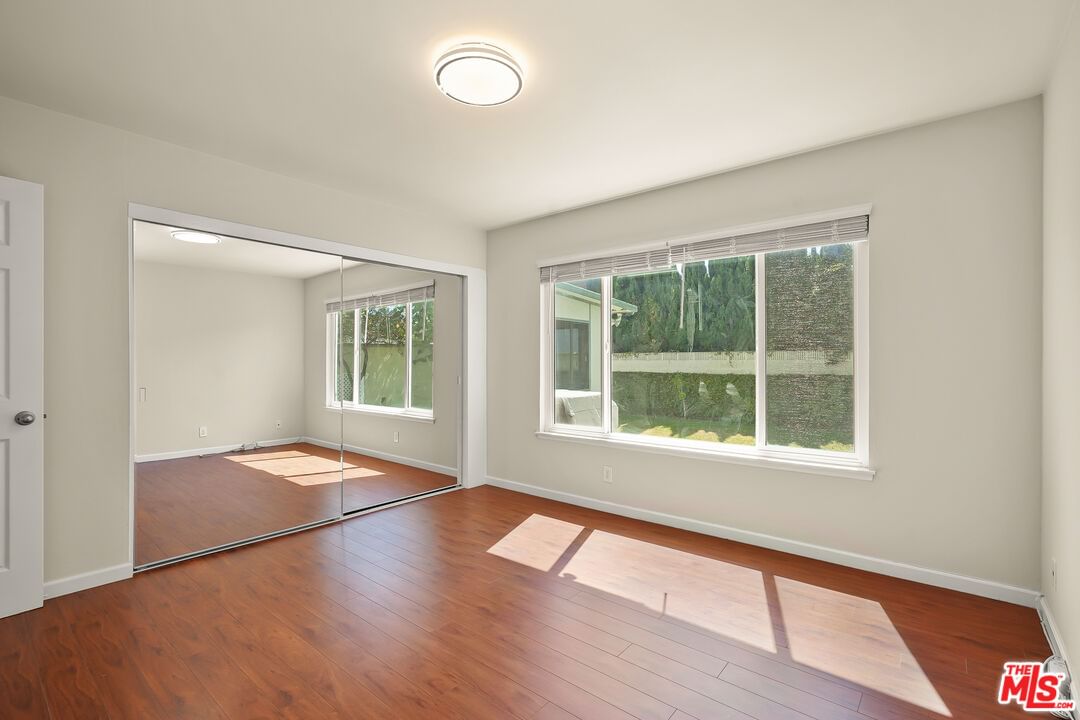 Rose photo 20