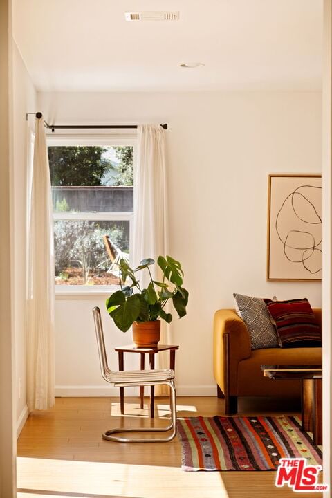 Screenland photo 23