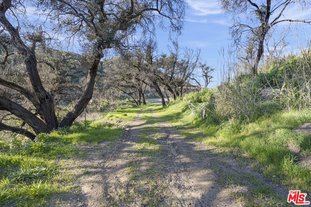Kanan Dume Rd photo 5