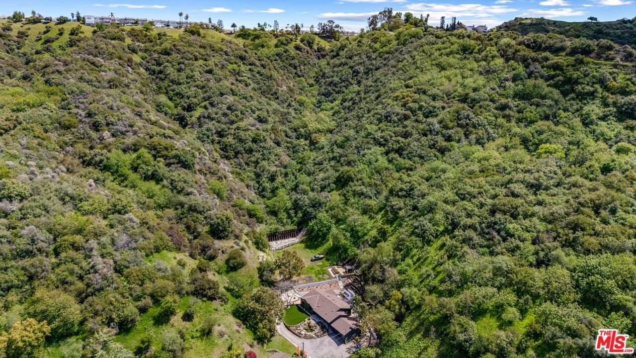 Mandeville Canyon photo 21