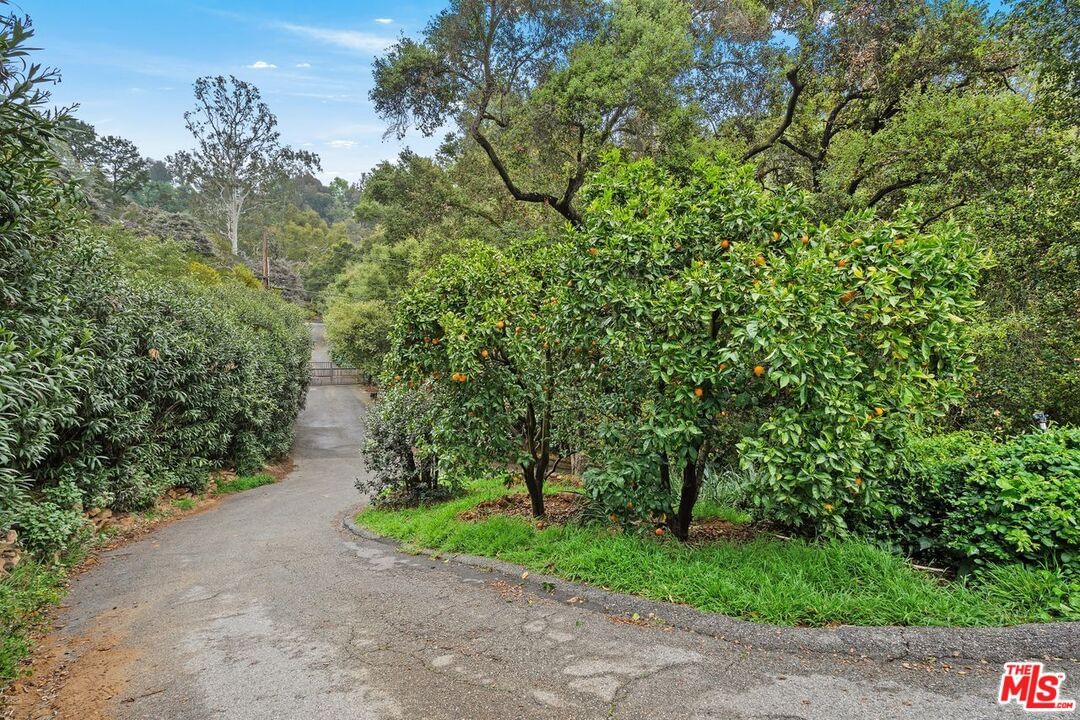 Melhill photo 3