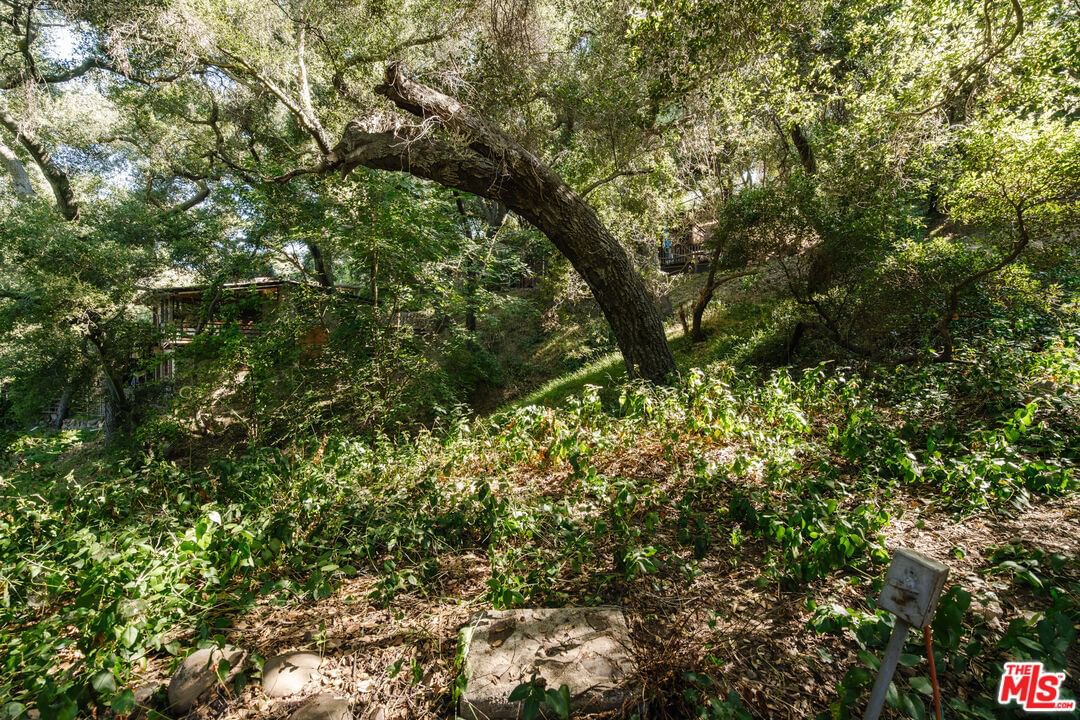 Old Topanga Canyon photo 28