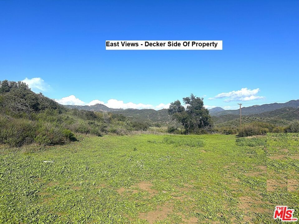 Mulholland photo 4