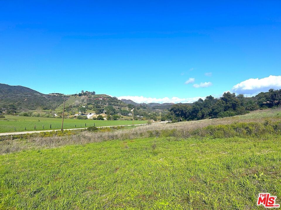 Mulholland photo 5