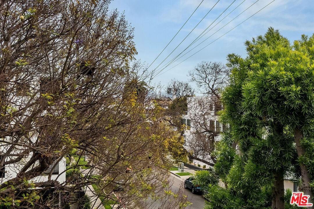Massachusetts photo 29