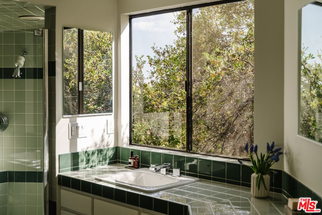 Fern photo 36