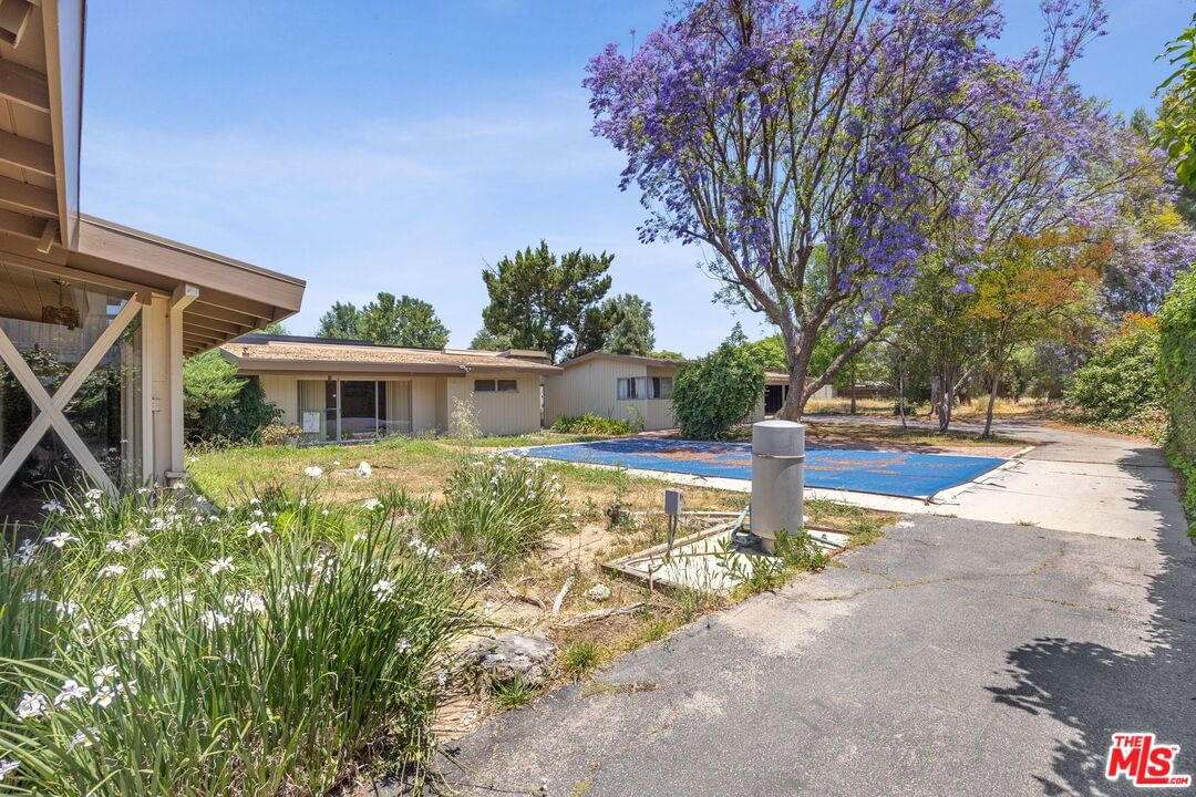 Encino photo 48