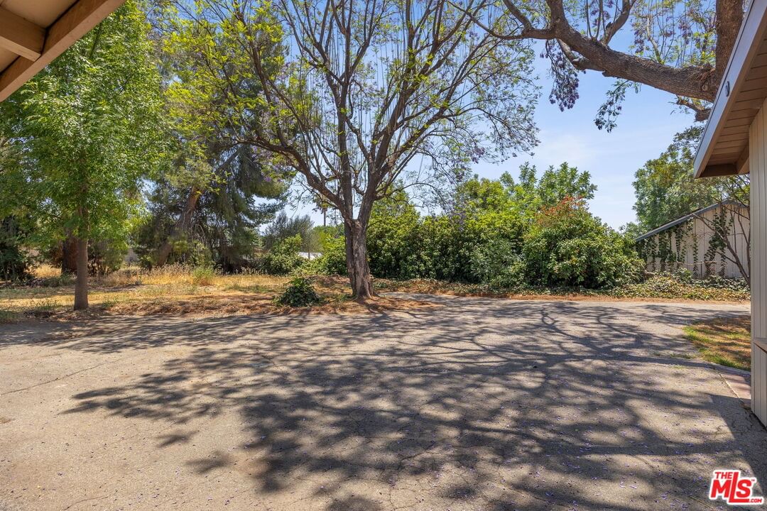 Encino photo 52
