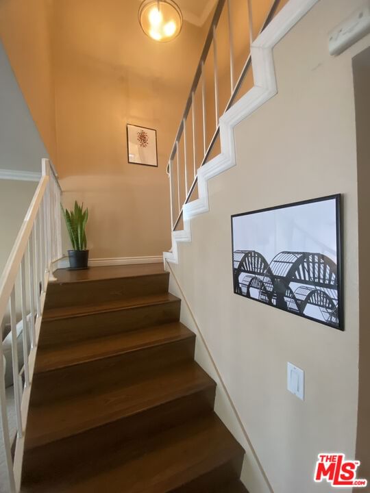 Fairgrove photo 20