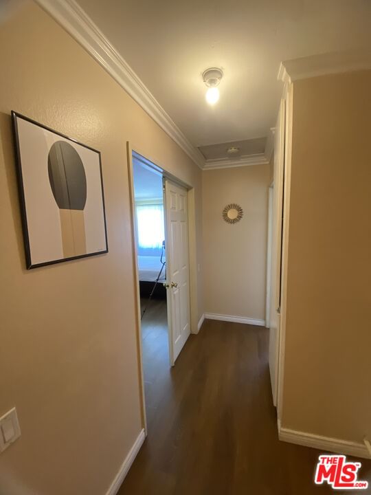 Fairgrove photo 26
