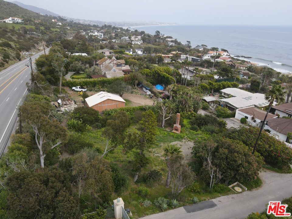 Pacific Coast photo 11