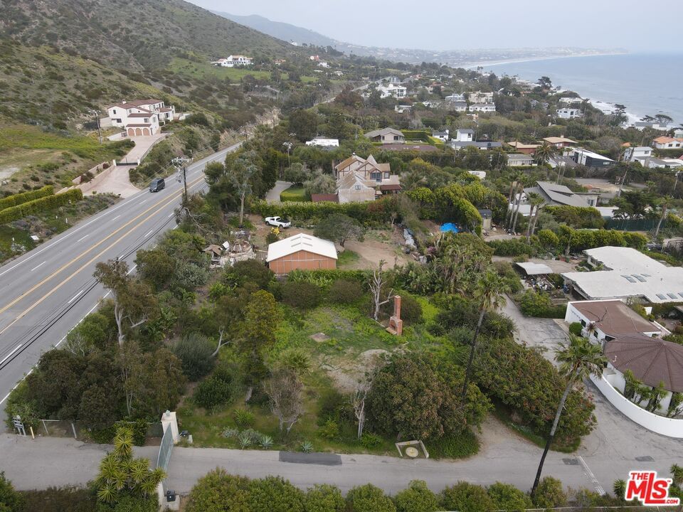 Pacific Coast photo 12