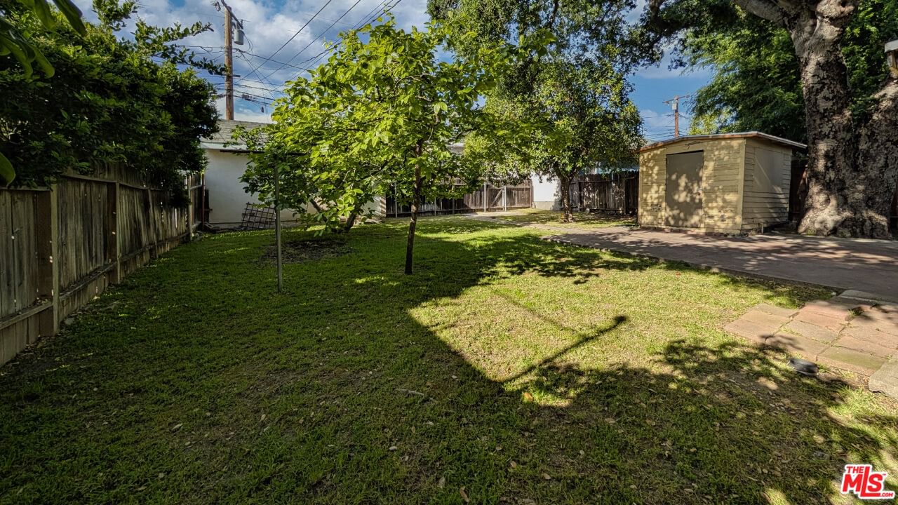 Lemon photo 19