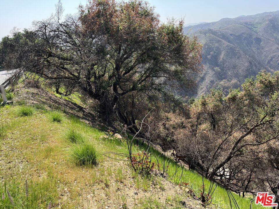 Alta Mura Rd photo 4