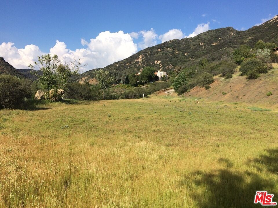 Cold Canyon photo 7