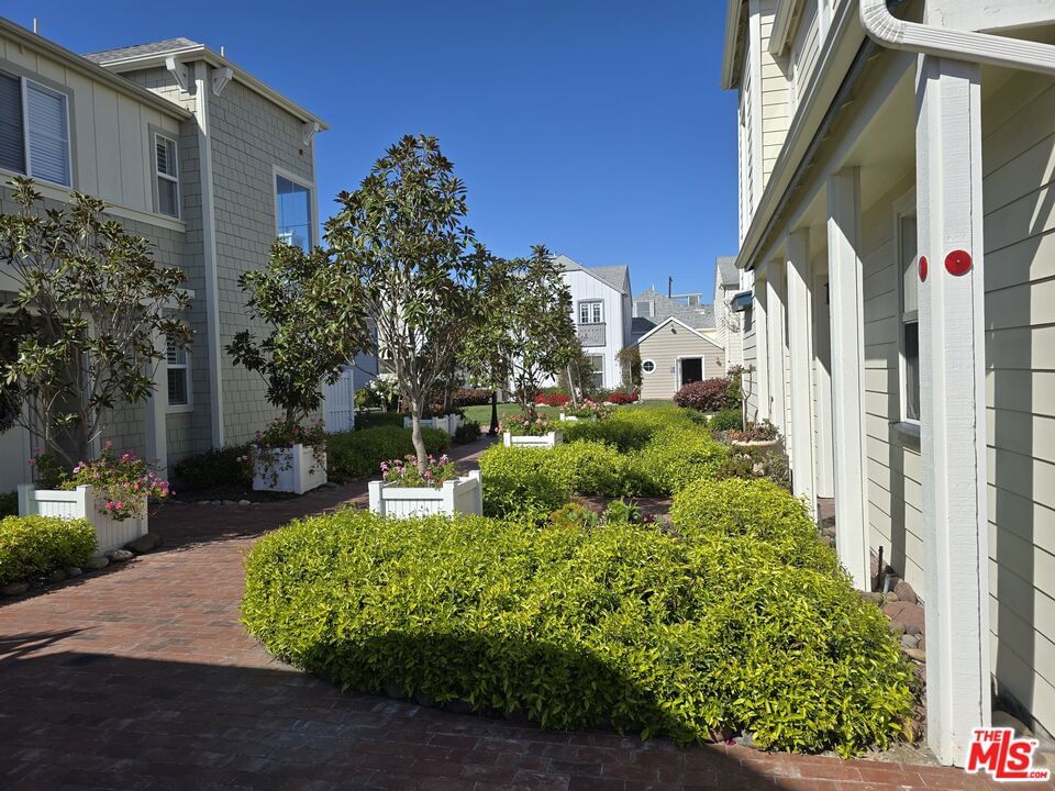 Pacific Coast photo 22