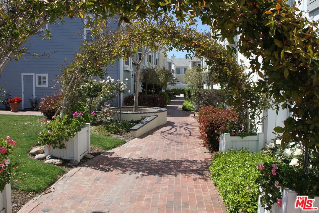 Pacific Coast photo 24