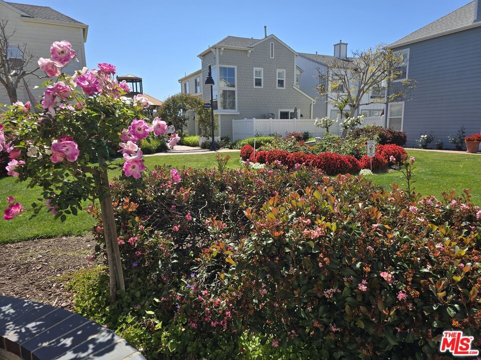 Pacific Coast photo 25