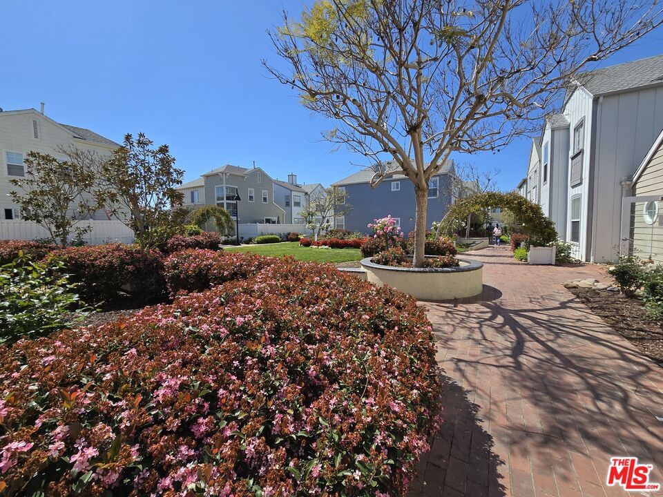 Pacific Coast photo 28