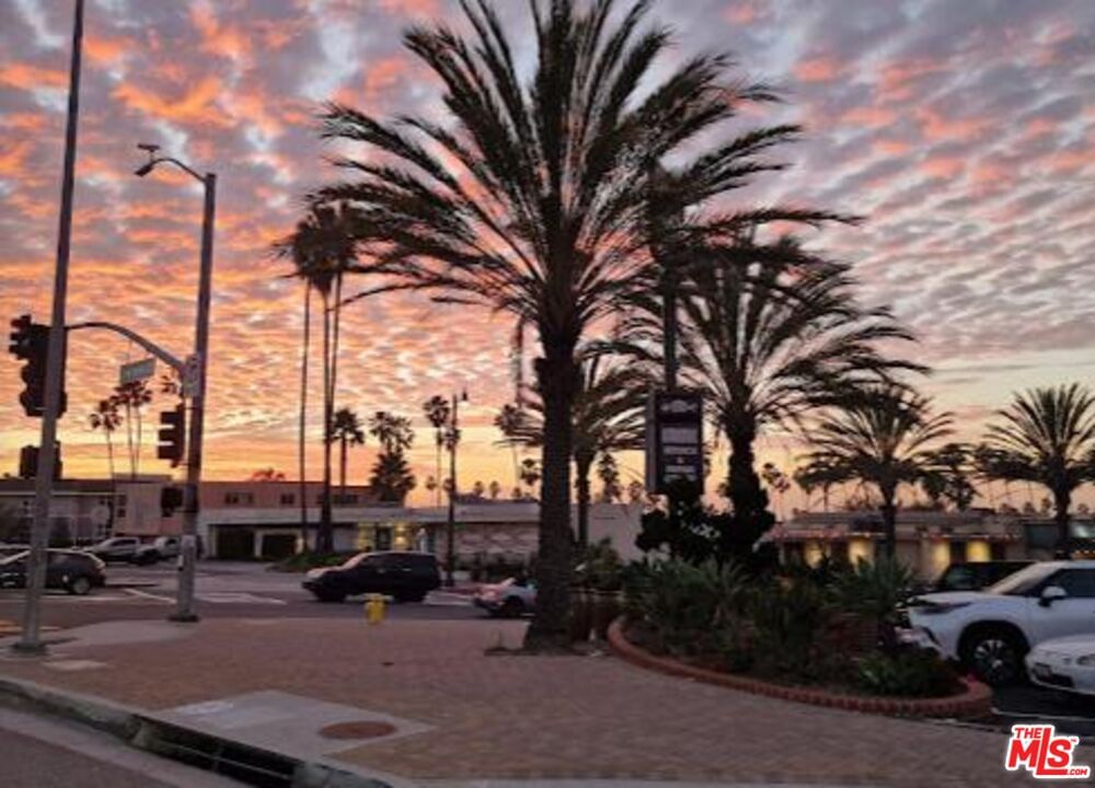 Pacific Coast photo 42