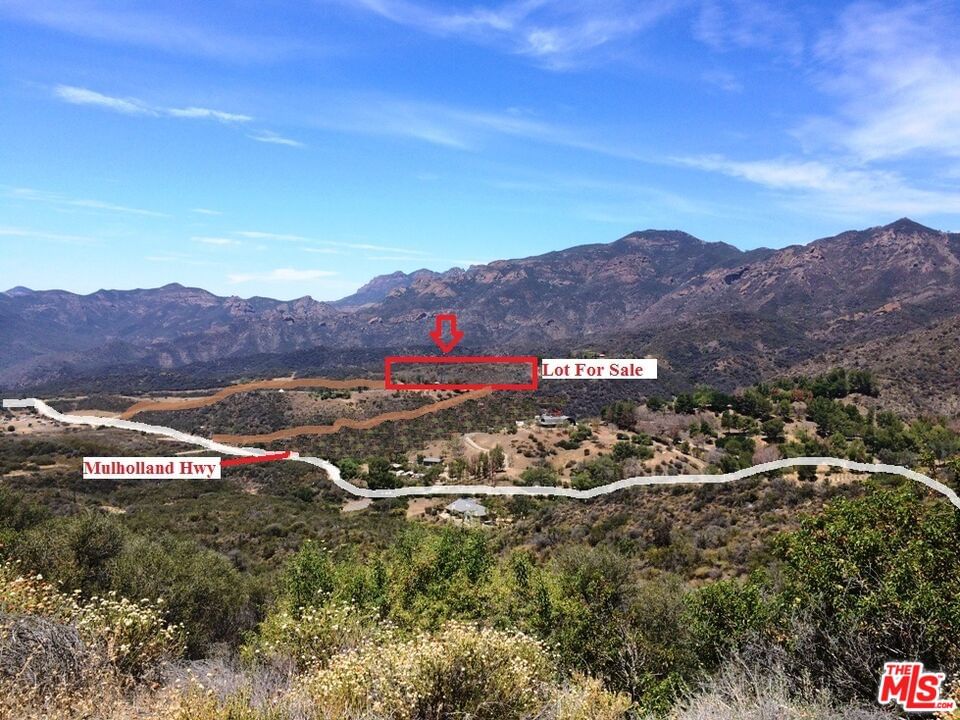 Mulholland photo 4