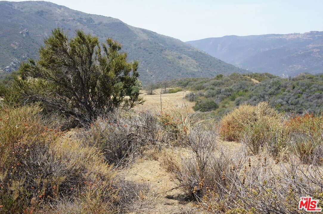 Mulholland photo 5