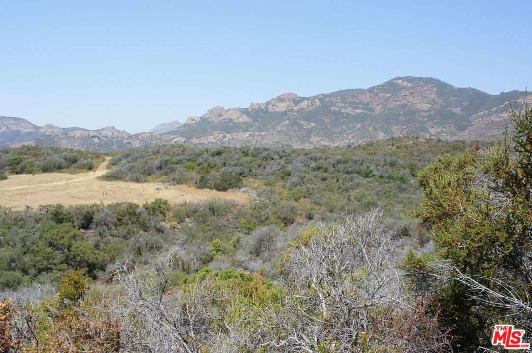 Mulholland photo 6
