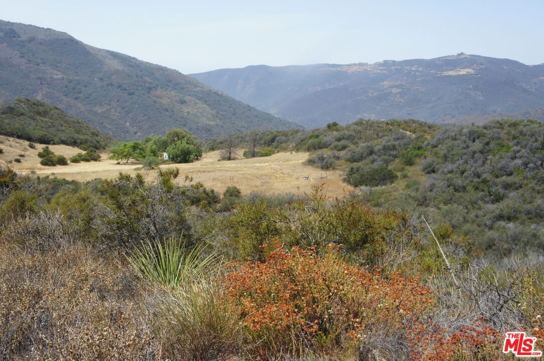 Mulholland photo 7