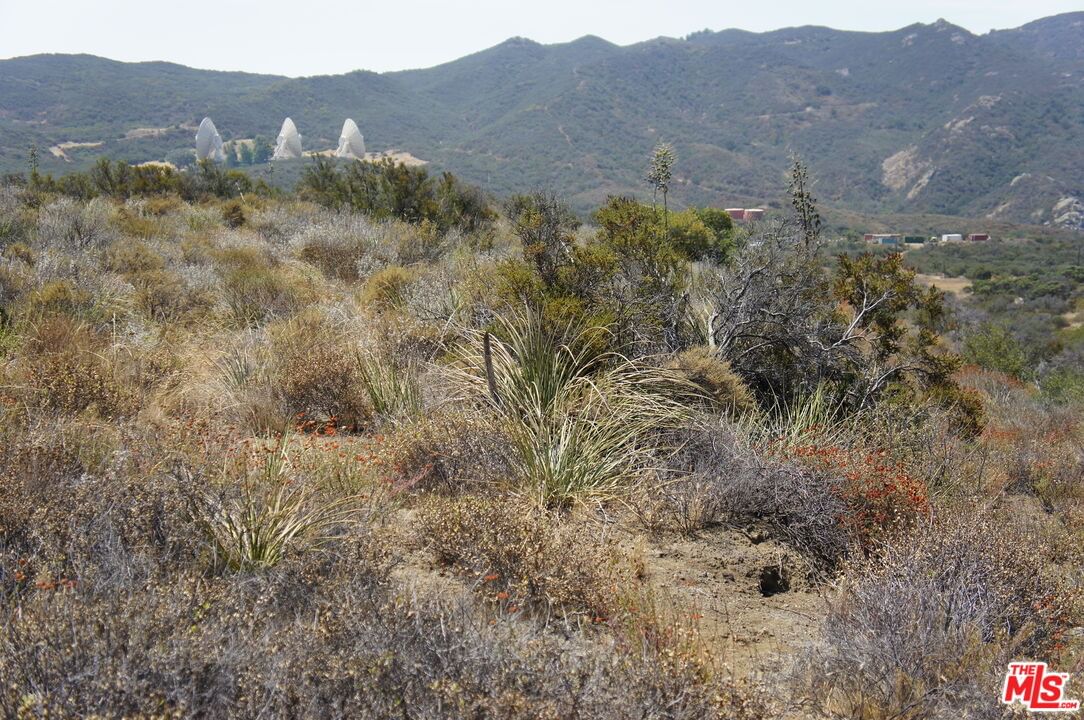 Mulholland photo 8