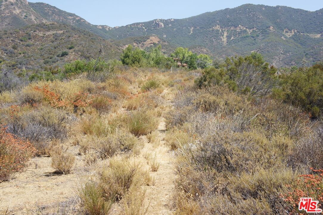 Mulholland photo 9