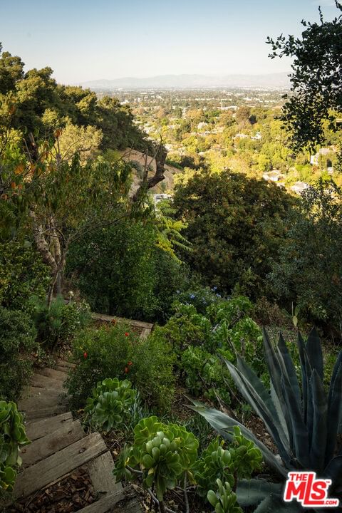 Alta Mesa photo 18