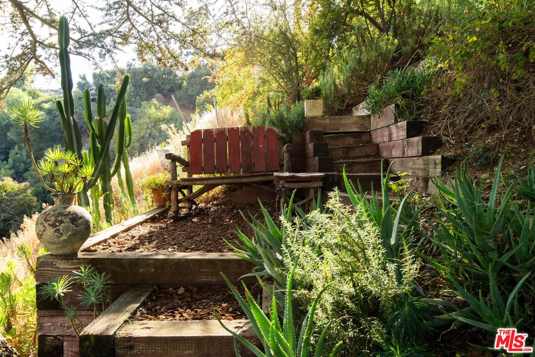 Alta Mesa photo 19