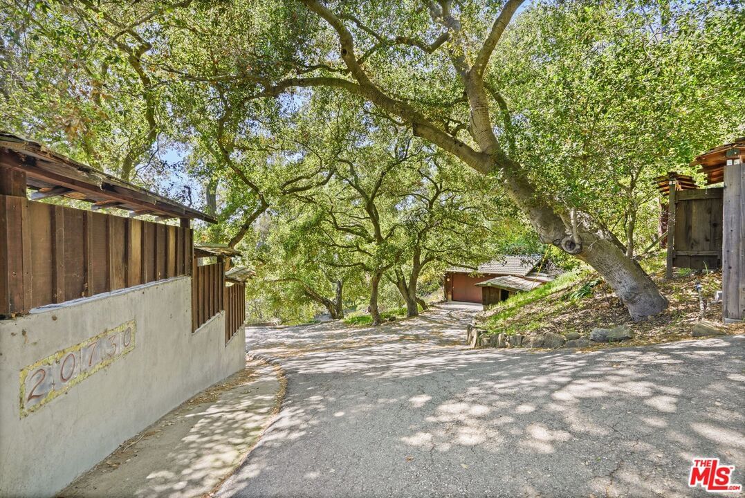 Hillside photo 3