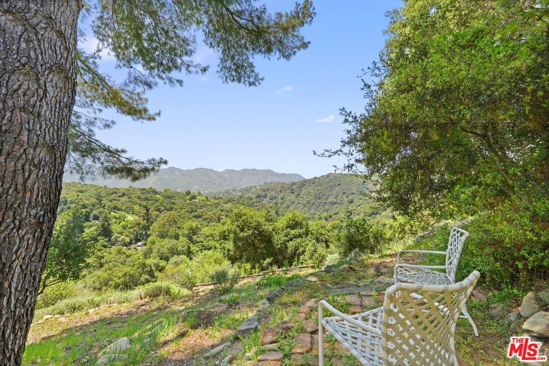 Hillside photo 30