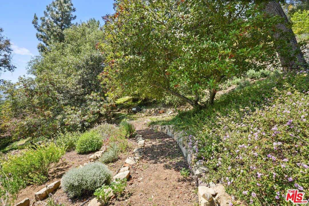 Hillside photo 31