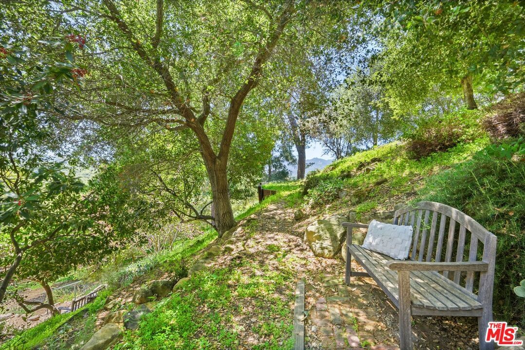 Hillside photo 32