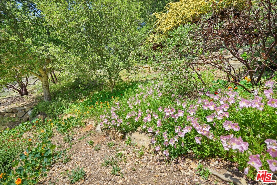 Hillside photo 36