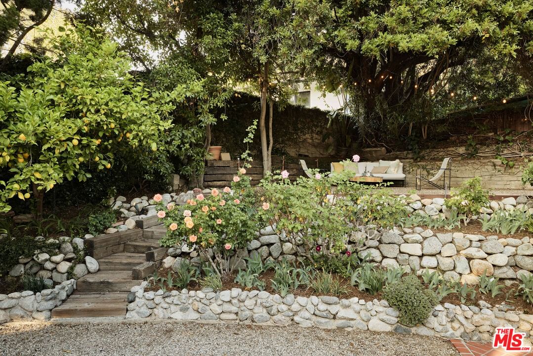 Laguna photo 28