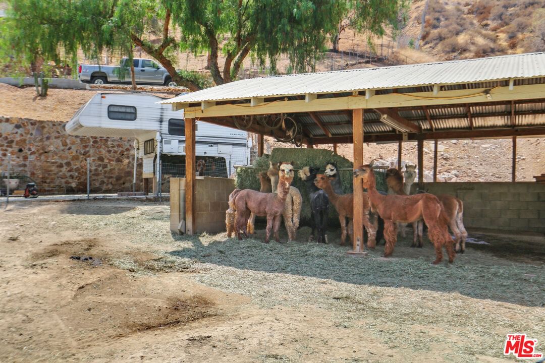 Sunland photo 9