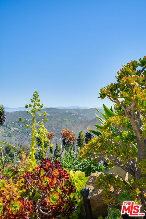 Tuna Canyon photo 68
