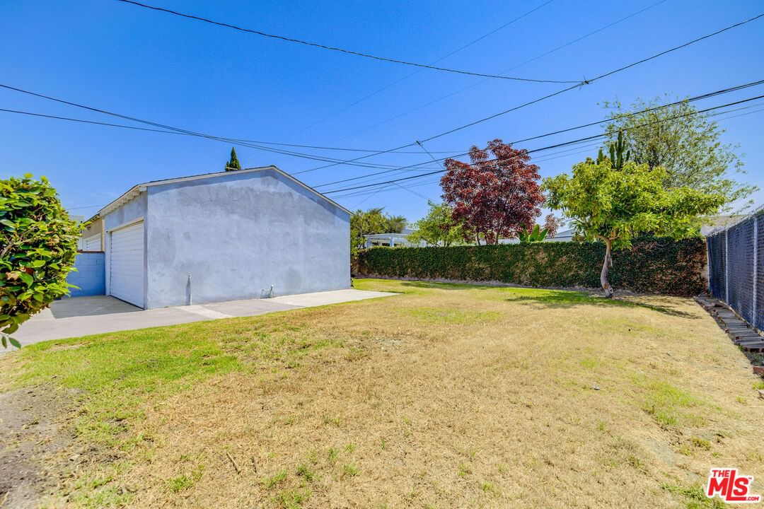 Bellflower photo 20