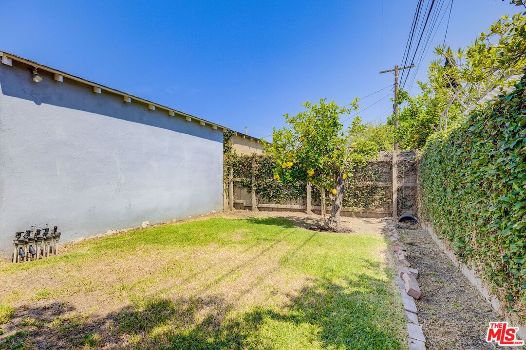 Bellflower photo 22