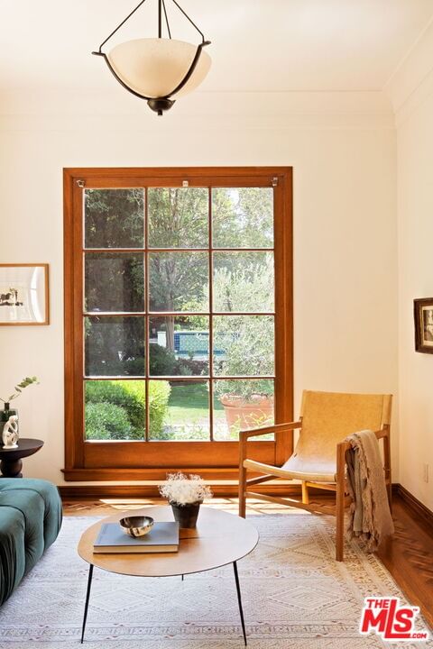 Linden photo 15