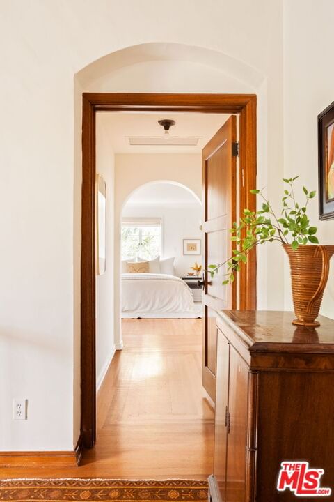 Linden photo 36