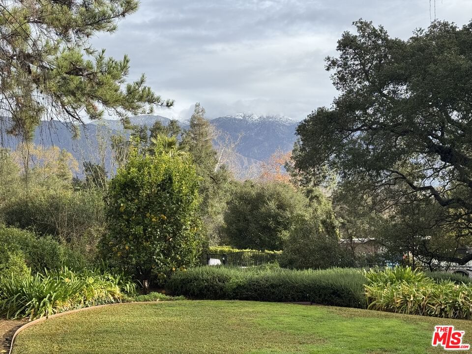 Linda Ridge photo 26