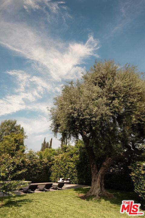 Rose Villa photo 34