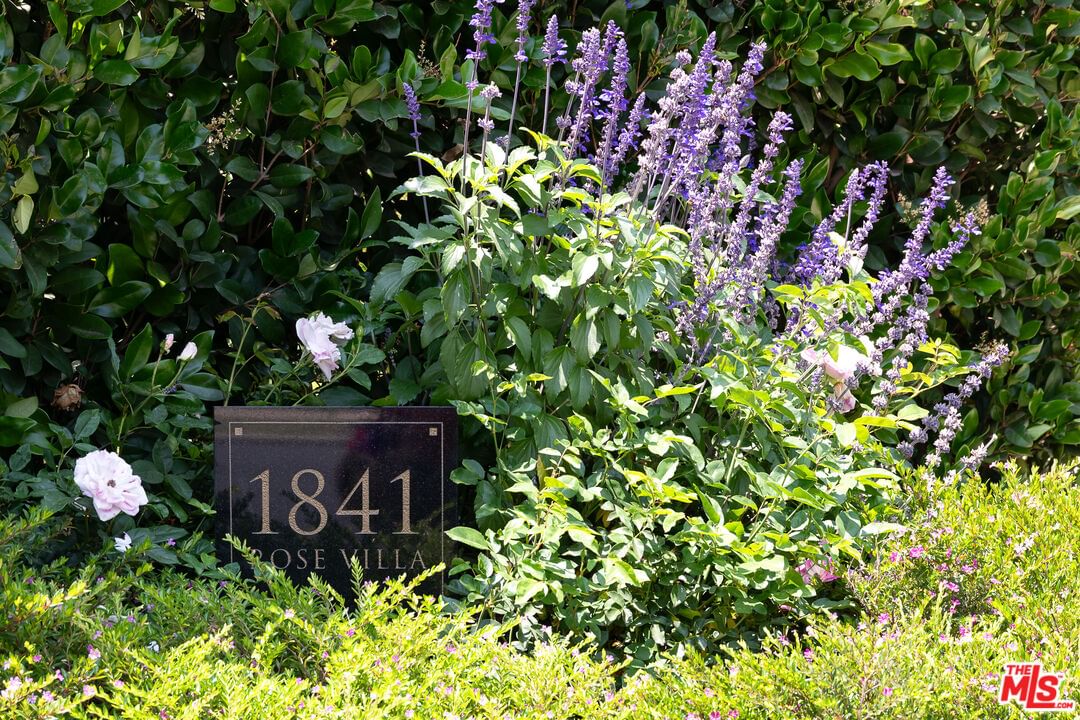 Rose Villa photo 43