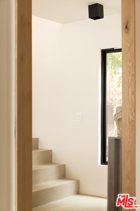 Amador photo 16